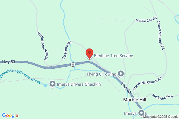 Bledsoe Tree Service, LLC