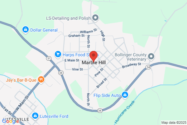 Marble Hill City of, City Collector
