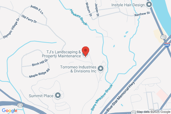 T & M Auto Repairs