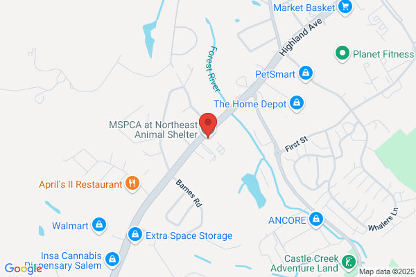 Northeast Animal Shelter