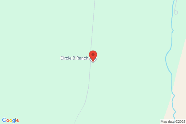 Circle Cattle Company