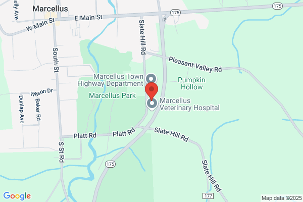 Marcellus Fire Station