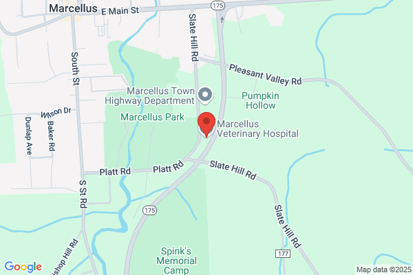 Marcellus Veterinary Hospital