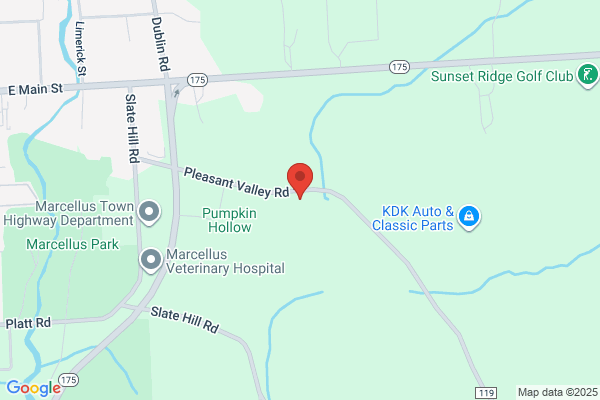 Warner's Auto Body