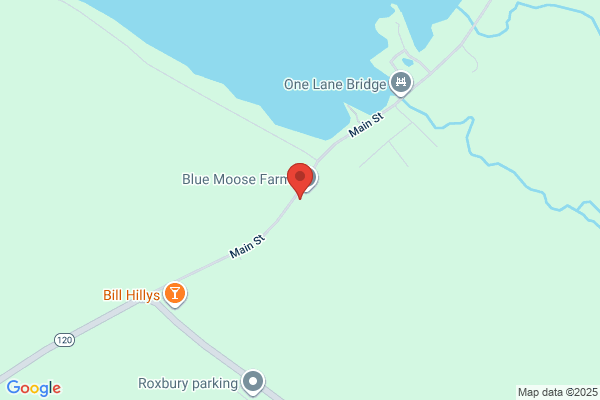 Blue Moose Rental Cabins