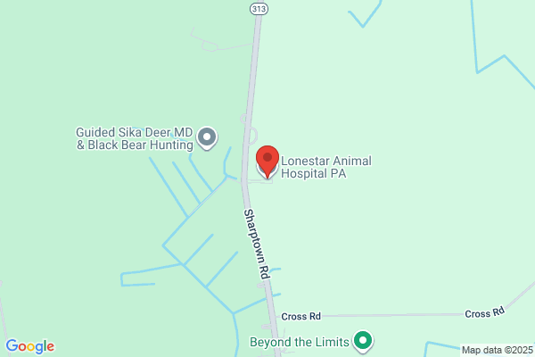 Lonestar Animal Hospital PA