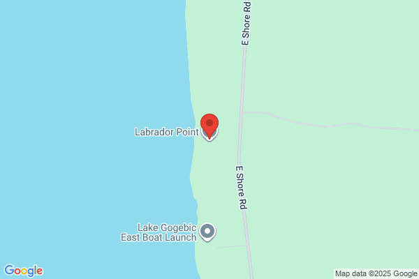 Black Bear Cottage Rentals