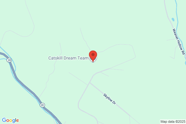 Kaatskill Mt Real Estate