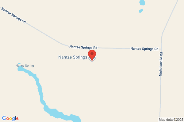 Nantze Springs Inc