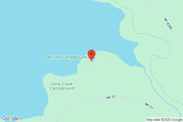 Oak & Fork