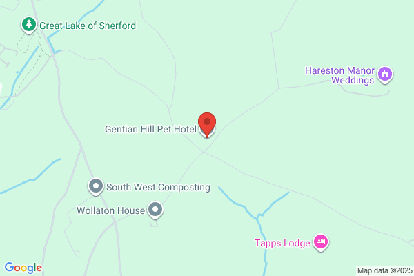 Cheatham Hill Kennels