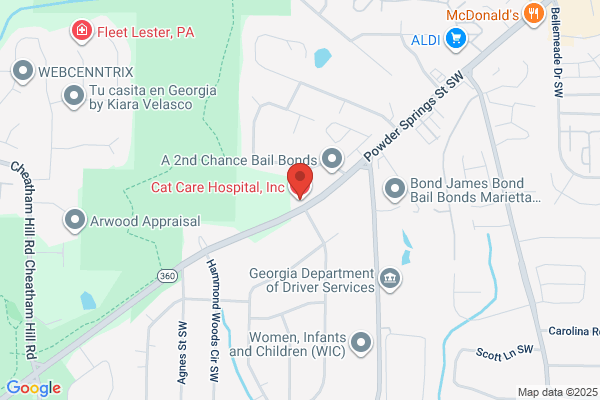 Cat Care Hospital