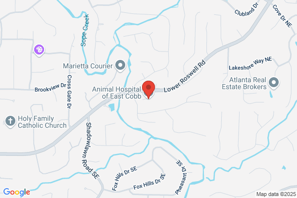 Animal Medical Care Center of East Cobb