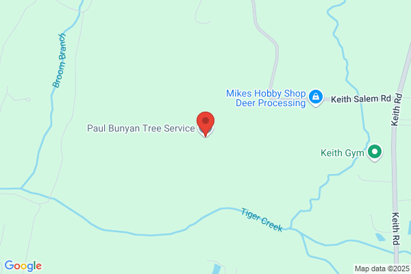 Paul Bunyans Tree Service