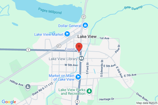 Lake View Gas Co
