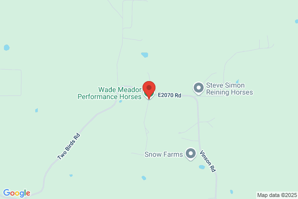 Latimer Dean Reining Horses