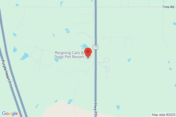 Reigning Cats & Dogs Pet Resort