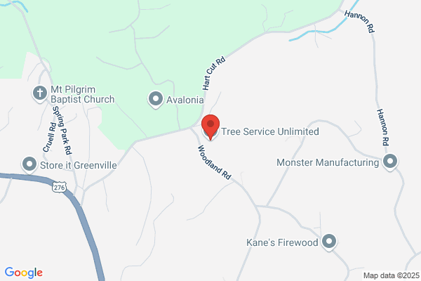 Tree Service Unlimited