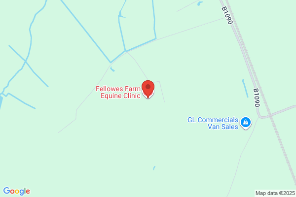 Vefele's Equine Partnerships