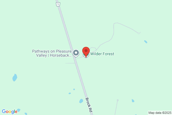 Wilder Forest