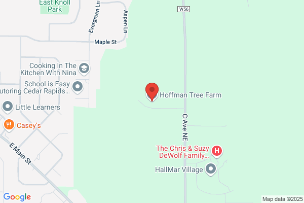 Hoffman Tree Farm