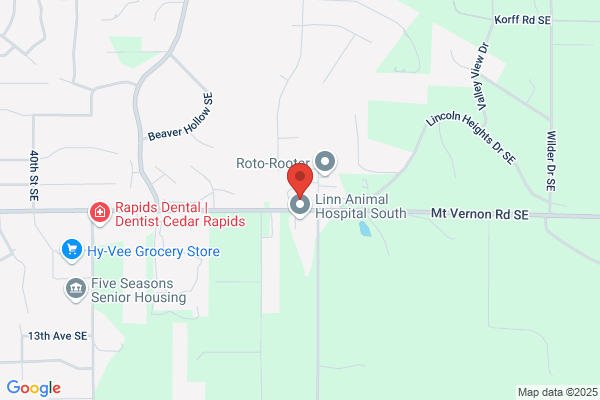 Dick's Tree Service