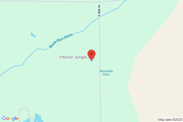 Interior Jungle