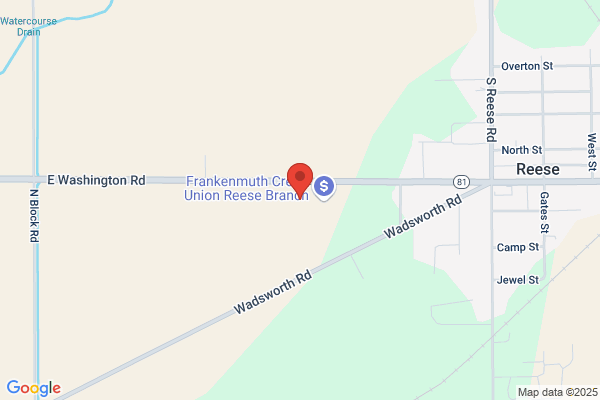 Reese Motors Company