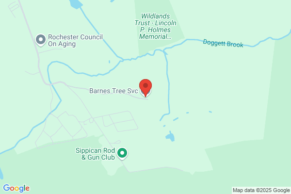 Barnes Tree Svc
