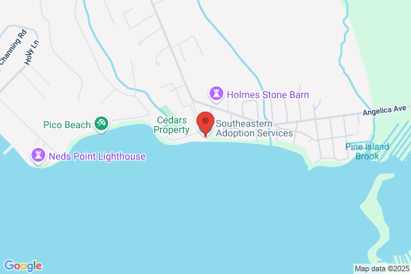 Southeastern Adoption Services Inc