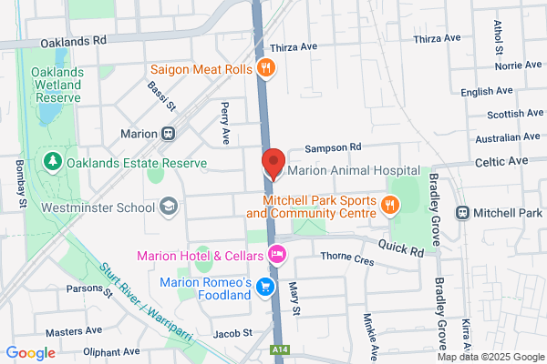Marion Animal Hospital