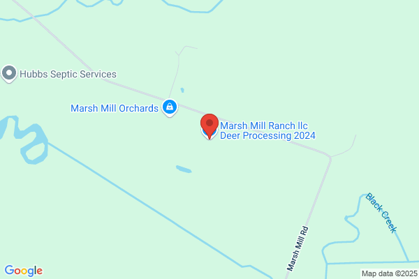 Marsh's Deer Processing
