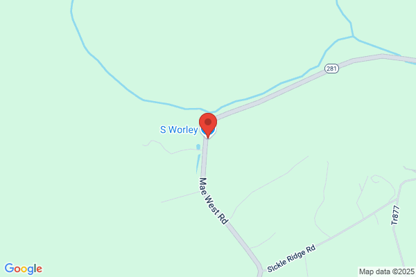 S Worley Co