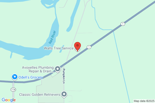 Walls Tree Service
