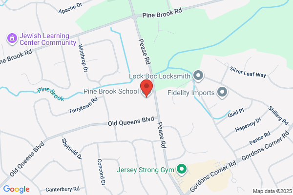 Pine Brook Electric