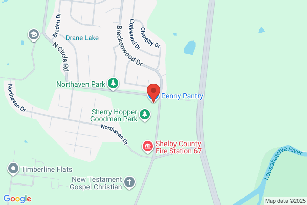Penny Pantry Food Store