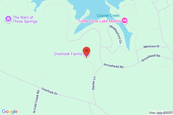 Overlook Farms Inc