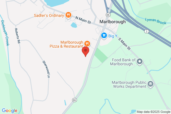 Village Green Pizza Restaurant