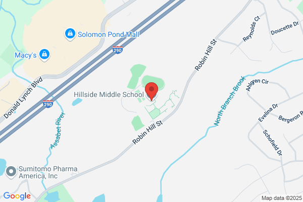 Hillside School