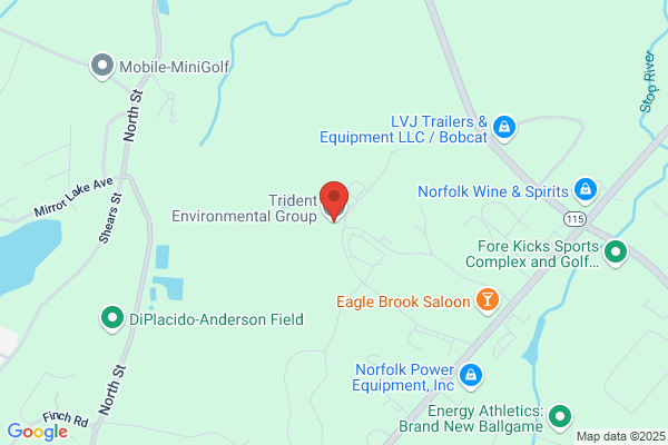 Trident Environmental Group Llc