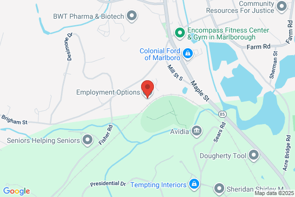 Employment Options Inc