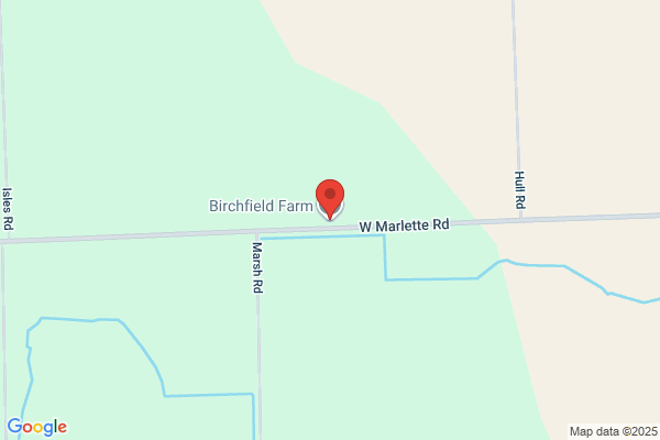 Birchfield Photographic Studio