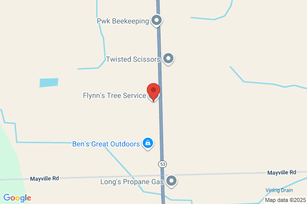 Flynns LLC