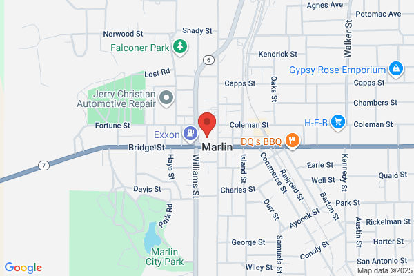 Falls County, Treasurer
