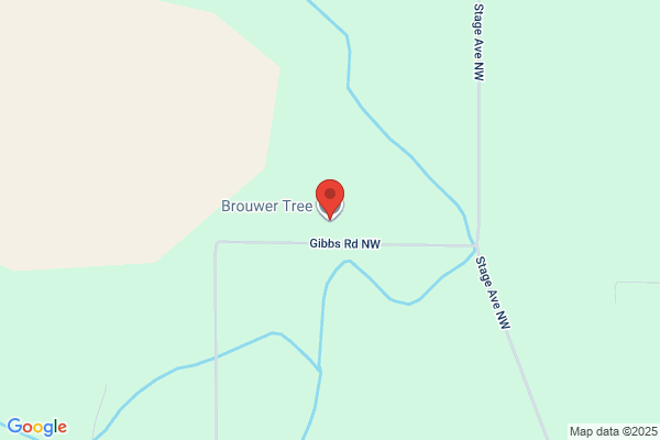 Brouwer Tree Co