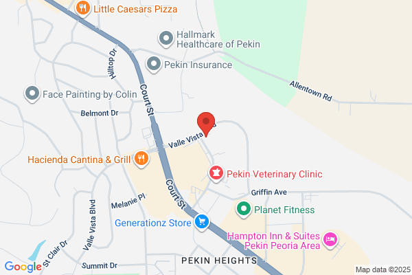 Vibrant Smiles