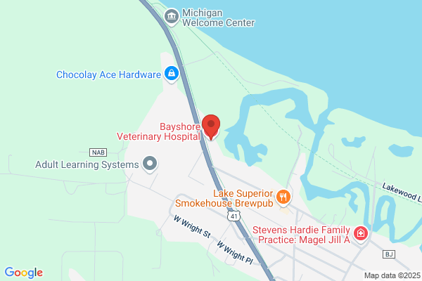Bayshore Veterinary Hospital - Timothy A Hunt DVM