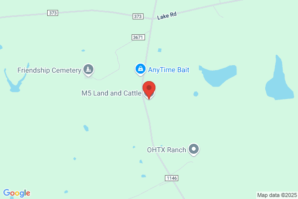Belvedere Land & Cattle Company