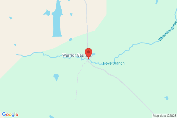 Warrior Gas Co