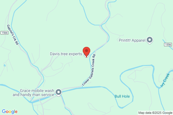 Davis Tree Experts